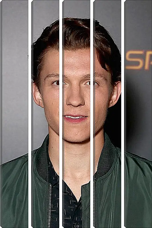 Модульная картина - Том Холланд. Tom Holland