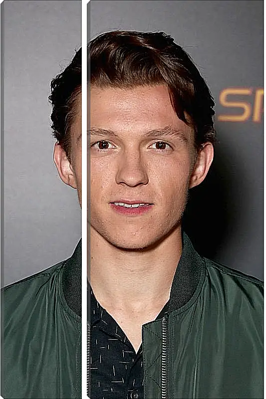 Модульная картина - Том Холланд. Tom Holland