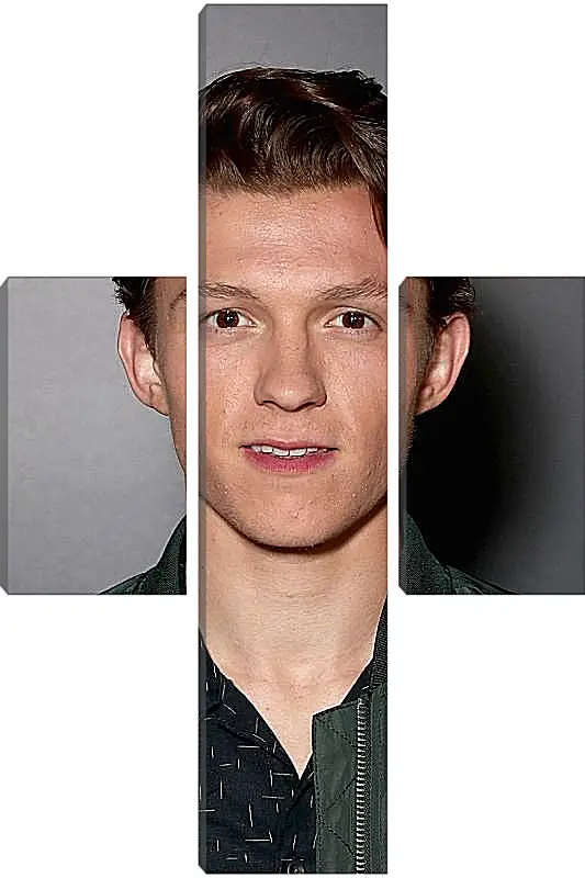 Модульная картина - Том Холланд. Tom Holland