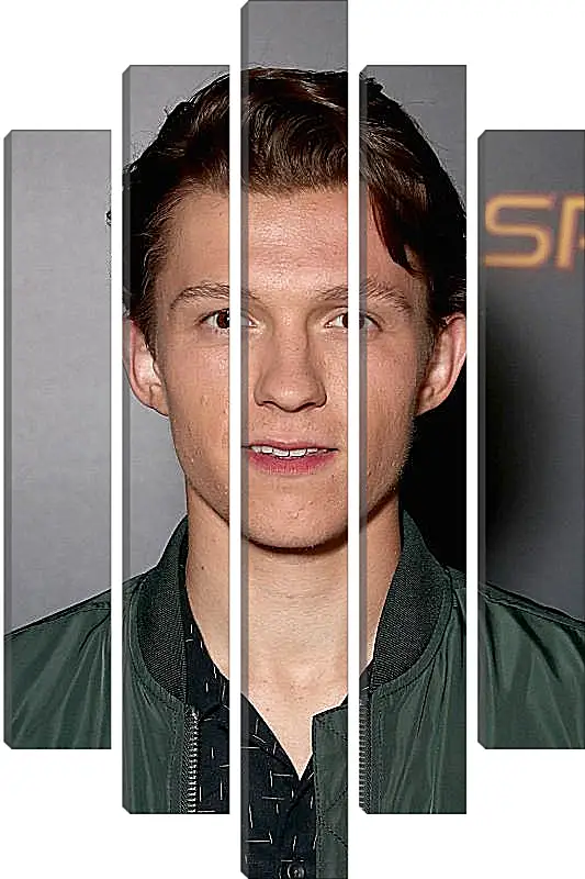 Модульная картина - Том Холланд. Tom Holland