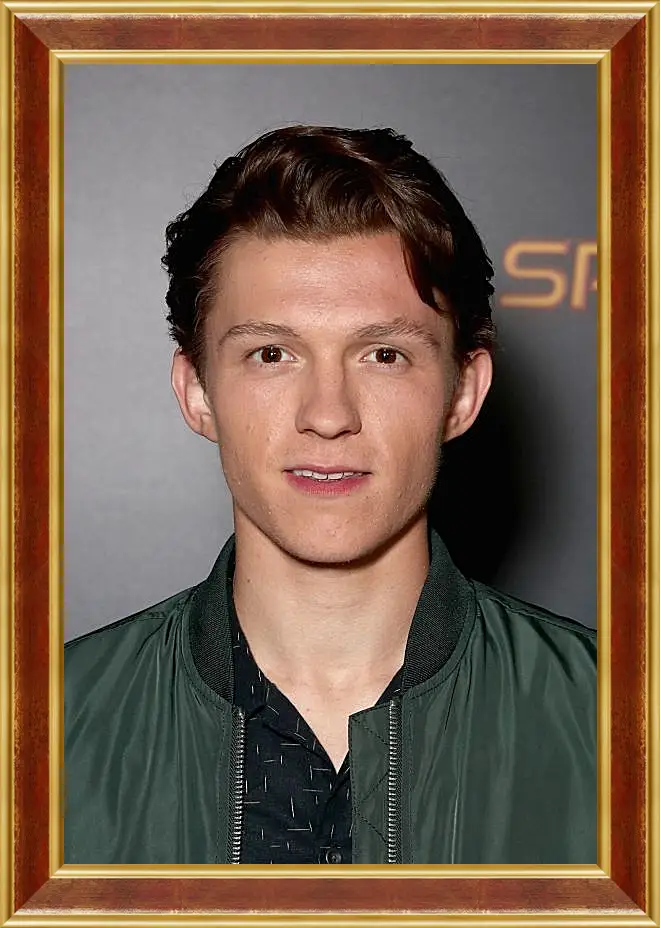 Картина в раме - Том Холланд. Tom Holland