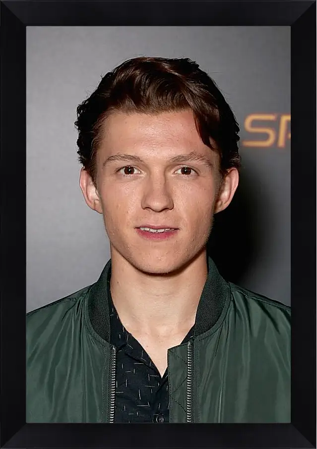 Картина в раме - Том Холланд. Tom Holland