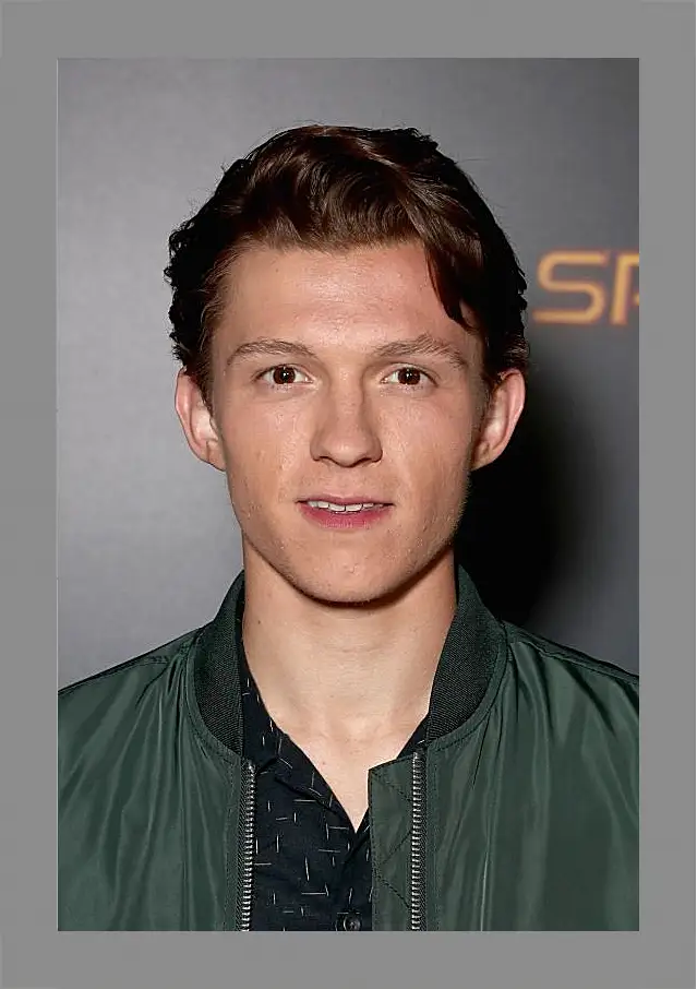 Картина в раме - Том Холланд. Tom Holland