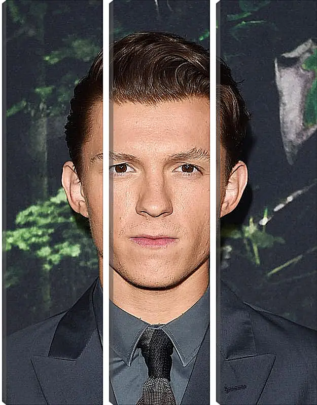 Модульная картина - Том Холланд. Tom Holland