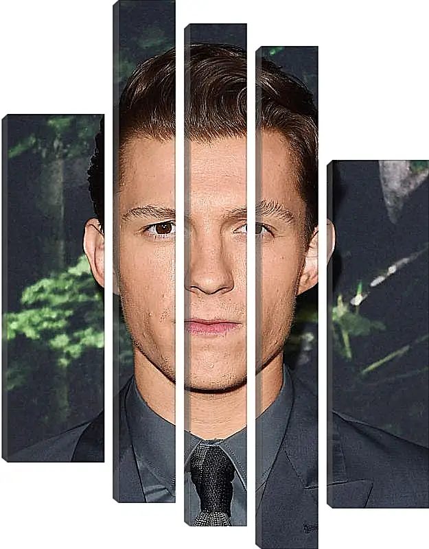 Модульная картина - Том Холланд. Tom Holland