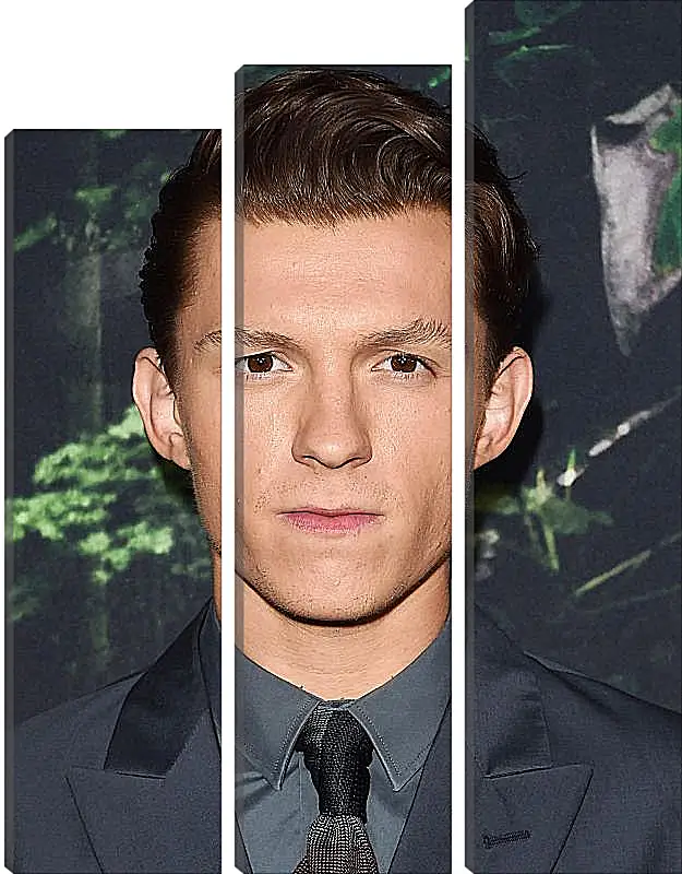 Модульная картина - Том Холланд. Tom Holland