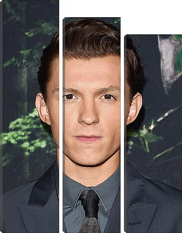 Модульная картина - Том Холланд. Tom Holland