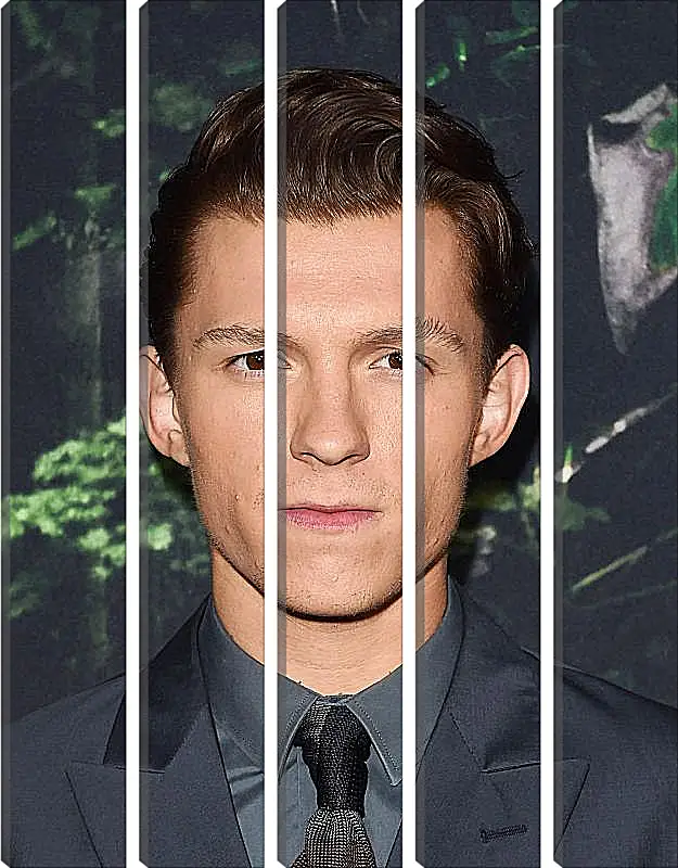 Модульная картина - Том Холланд. Tom Holland