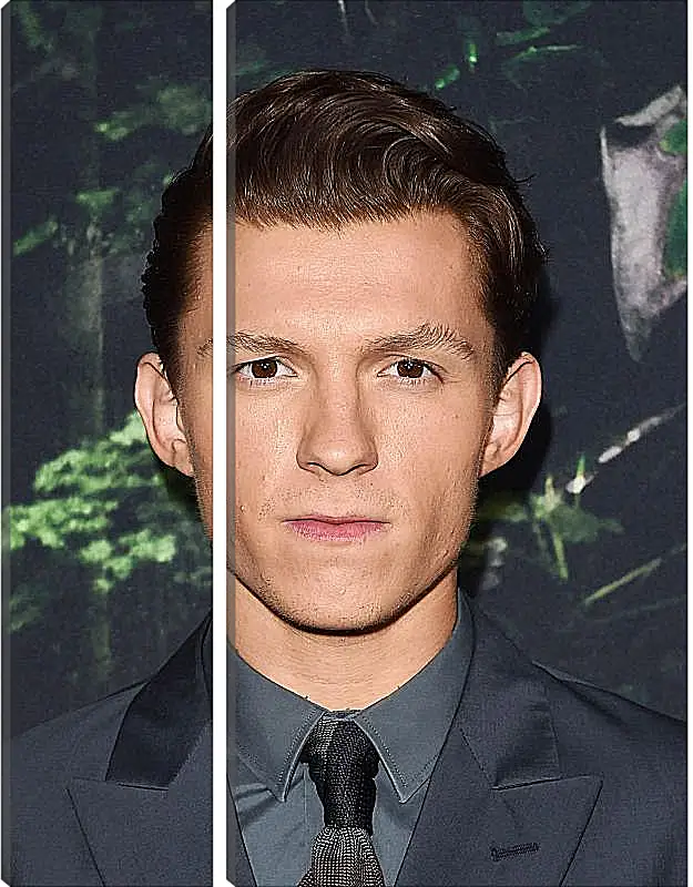 Модульная картина - Том Холланд. Tom Holland