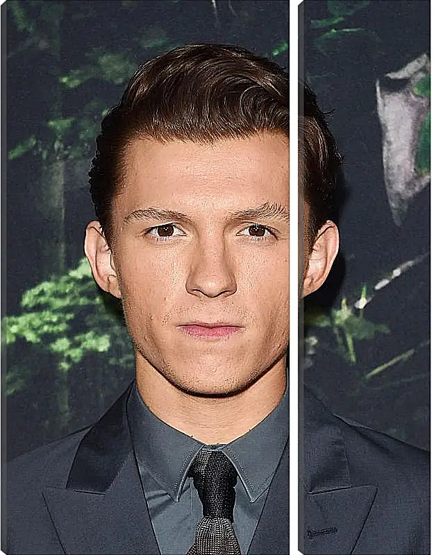 Модульная картина - Том Холланд. Tom Holland
