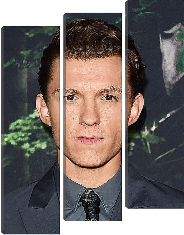 Модульная картина - Том Холланд. Tom Holland