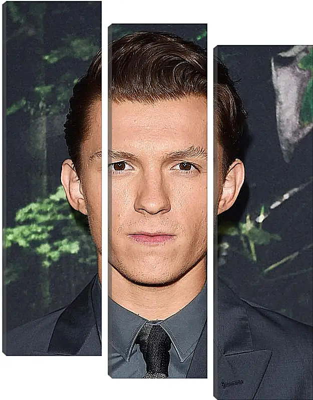 Модульная картина - Том Холланд. Tom Holland