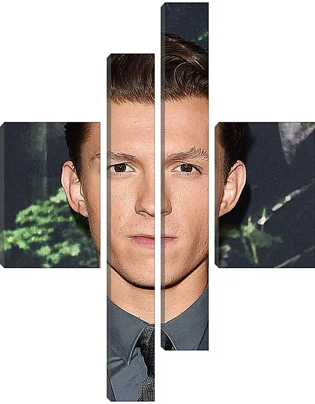 Модульная картина - Том Холланд. Tom Holland