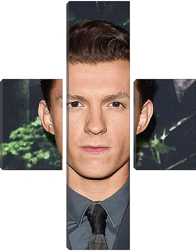 Модульная картина - Том Холланд. Tom Holland