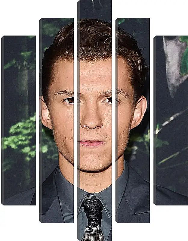 Модульная картина - Том Холланд. Tom Holland