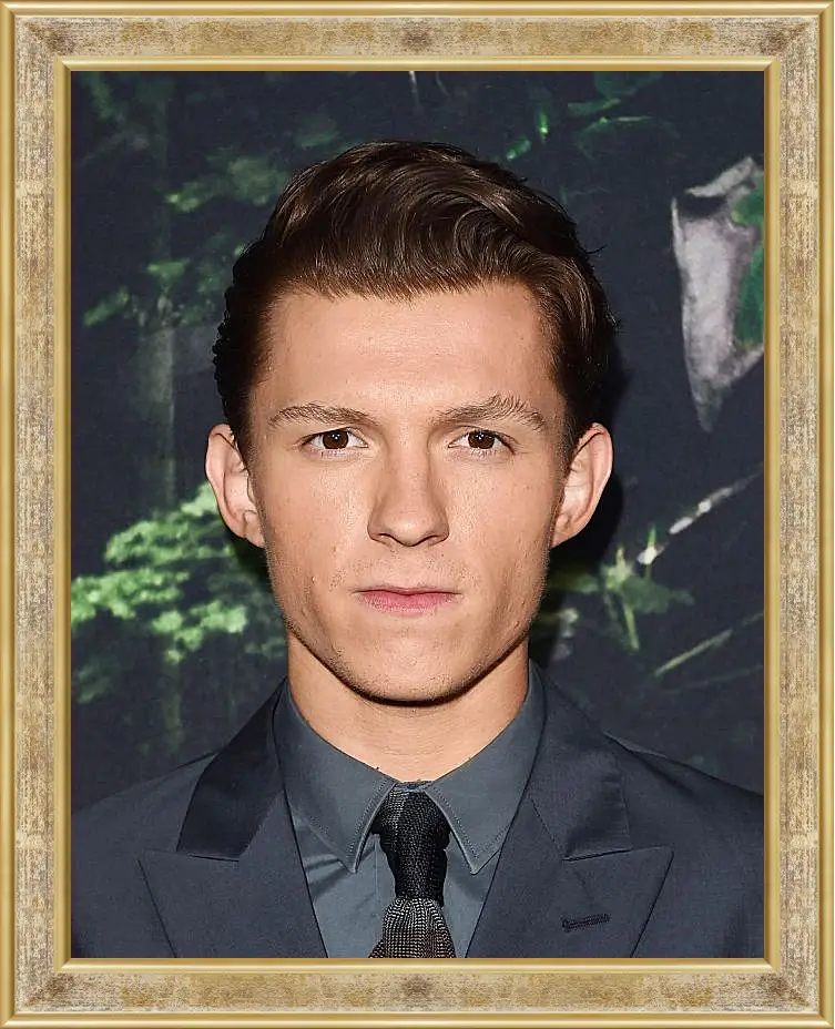 Картина в раме - Том Холланд. Tom Holland