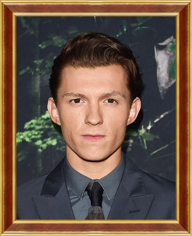 Картина в раме - Том Холланд. Tom Holland