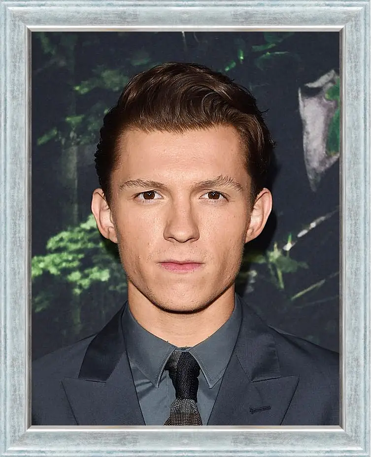 Картина в раме - Том Холланд. Tom Holland