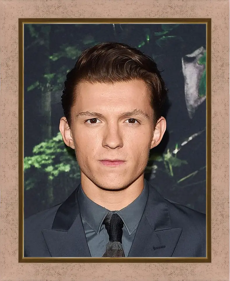 Картина в раме - Том Холланд. Tom Holland