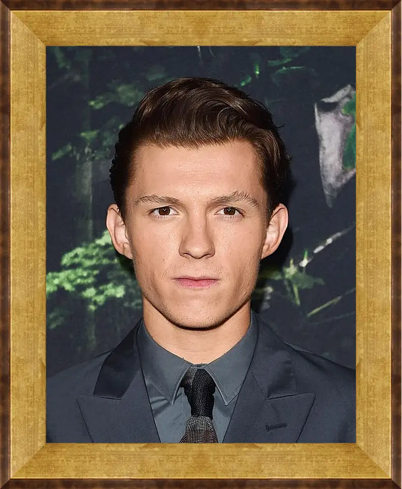 Картина в раме - Том Холланд. Tom Holland