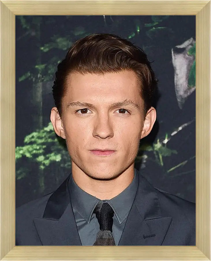 Картина в раме - Том Холланд. Tom Holland