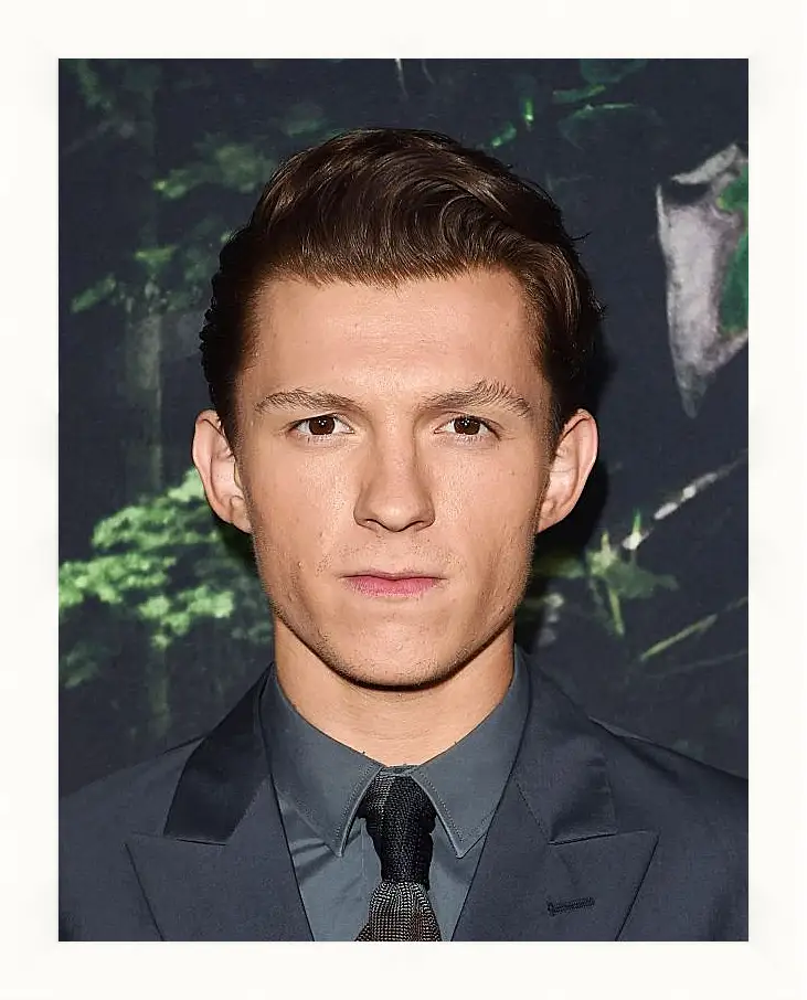 Картина в раме - Том Холланд. Tom Holland