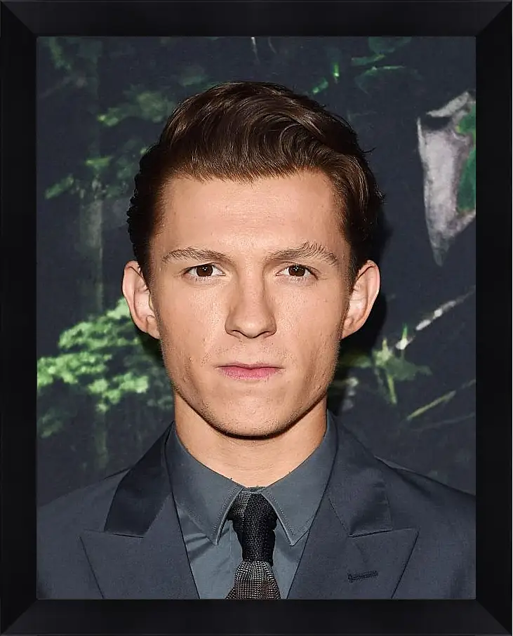 Картина в раме - Том Холланд. Tom Holland