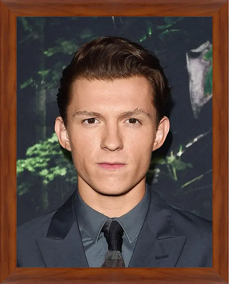 Картина в раме - Том Холланд. Tom Holland