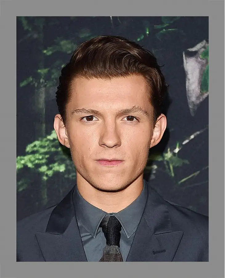 Картина в раме - Том Холланд. Tom Holland