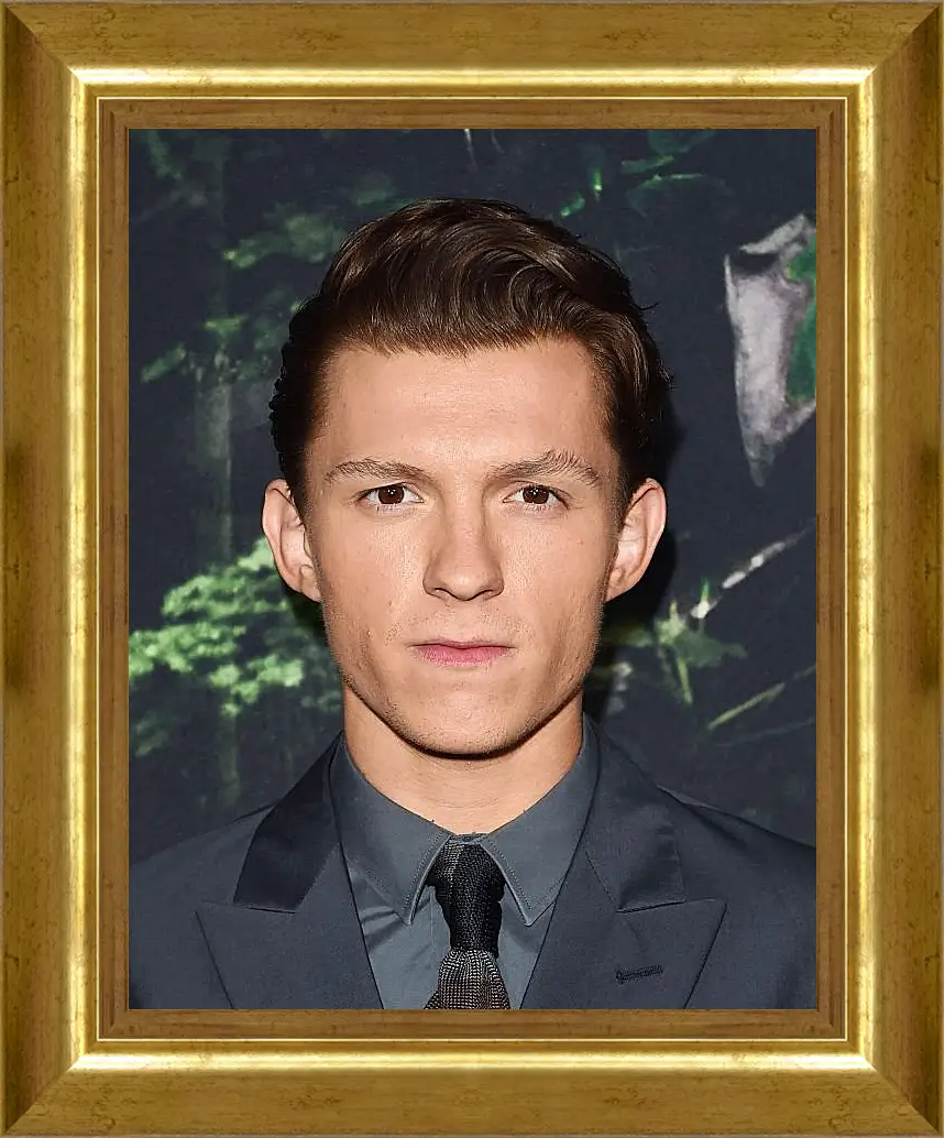 Картина в раме - Том Холланд. Tom Holland