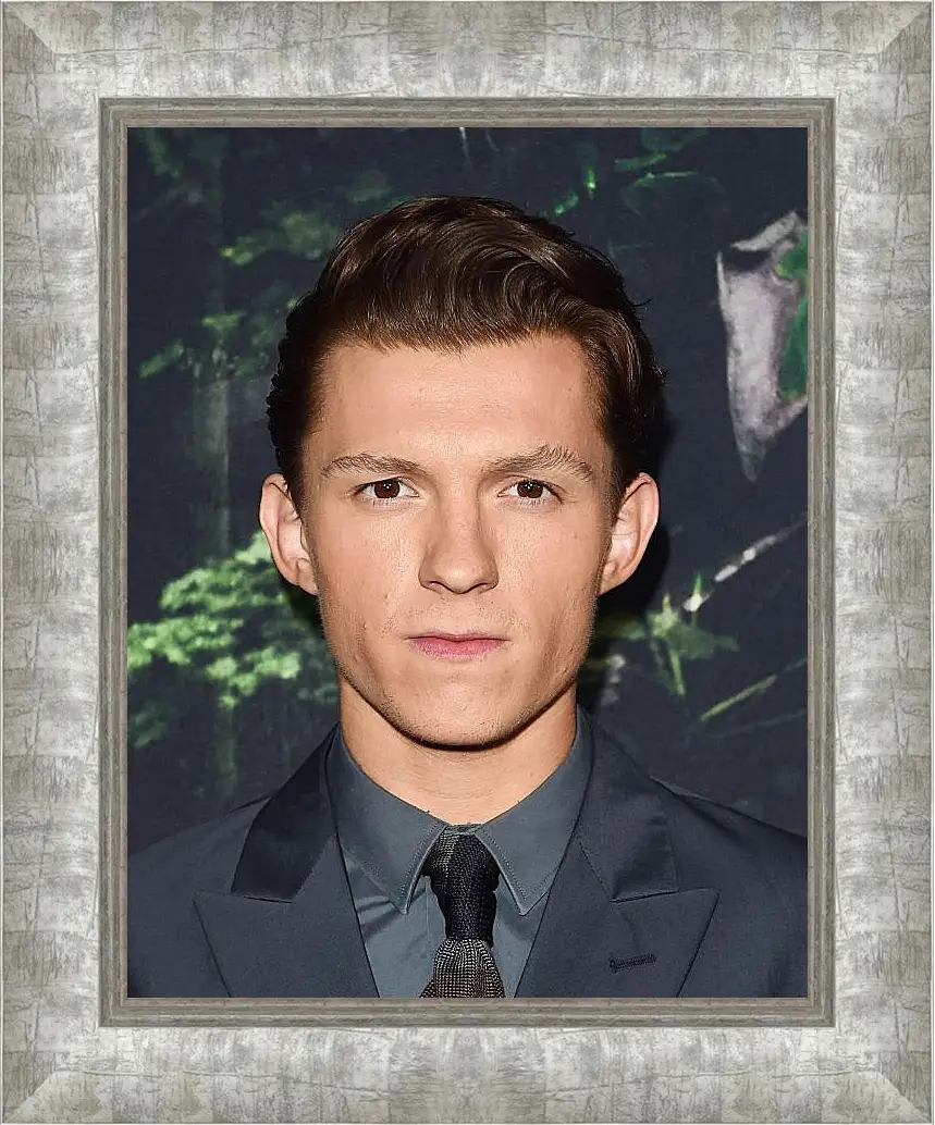 Картина в раме - Том Холланд. Tom Holland