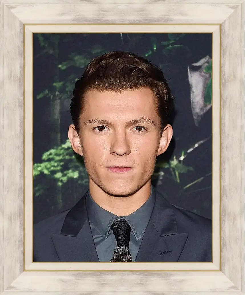 Картина в раме - Том Холланд. Tom Holland