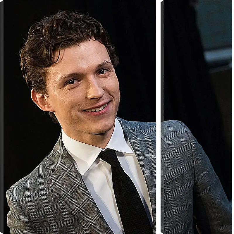 Модульная картина - Том Холланд. Tom Holland