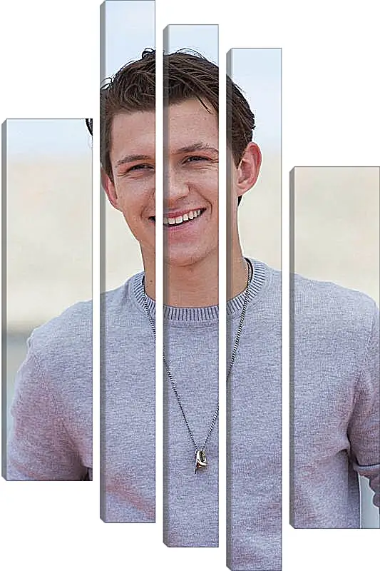 Модульная картина - Том Холланд. Tom Holland