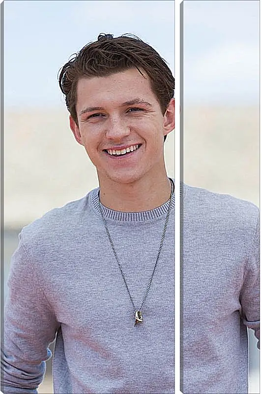 Модульная картина - Том Холланд. Tom Holland