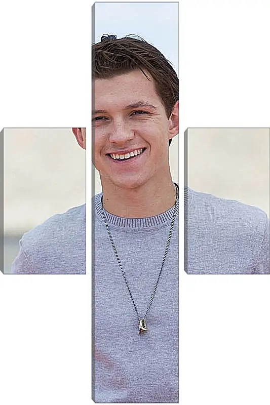 Модульная картина - Том Холланд. Tom Holland