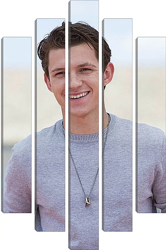 Модульная картина - Том Холланд. Tom Holland