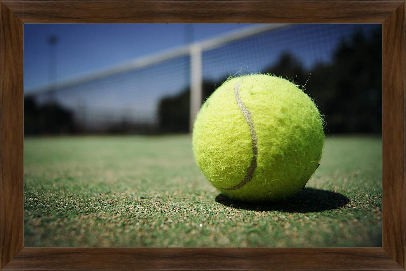 Картина в раме - Теннисный мяч