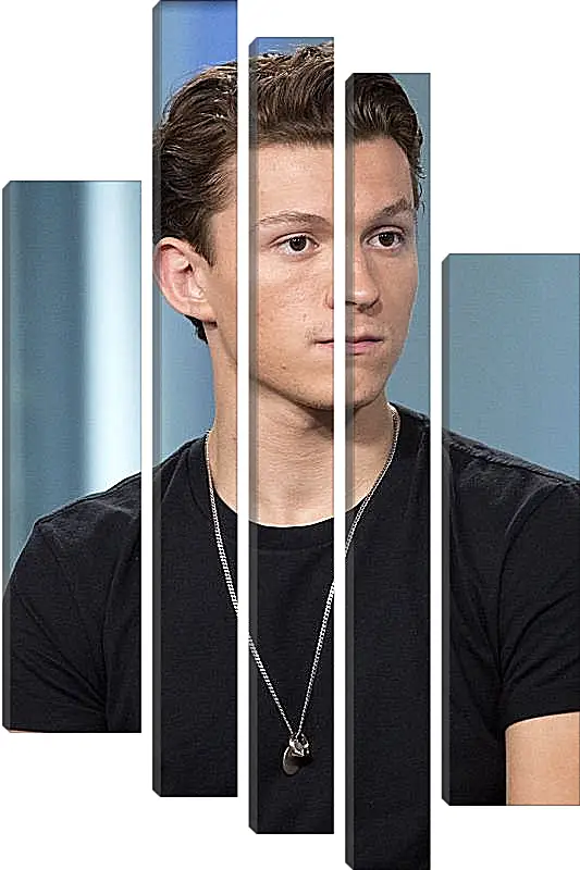 Модульная картина - Том Холланд. Tom Holland