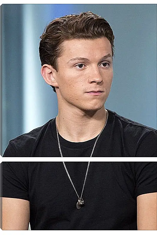 Модульная картина - Том Холланд. Tom Holland