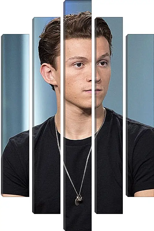 Модульная картина - Том Холланд. Tom Holland