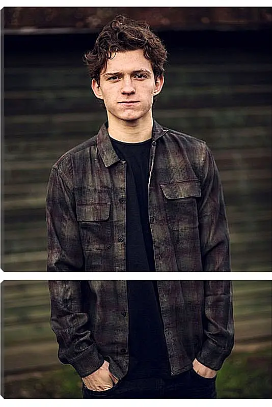 Модульная картина - Том Холланд. Tom Holland