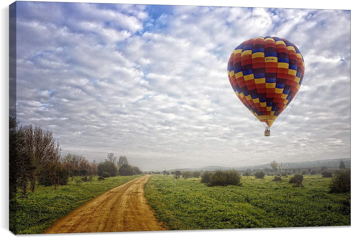 Постер и плакат - Воздушный шар над полем