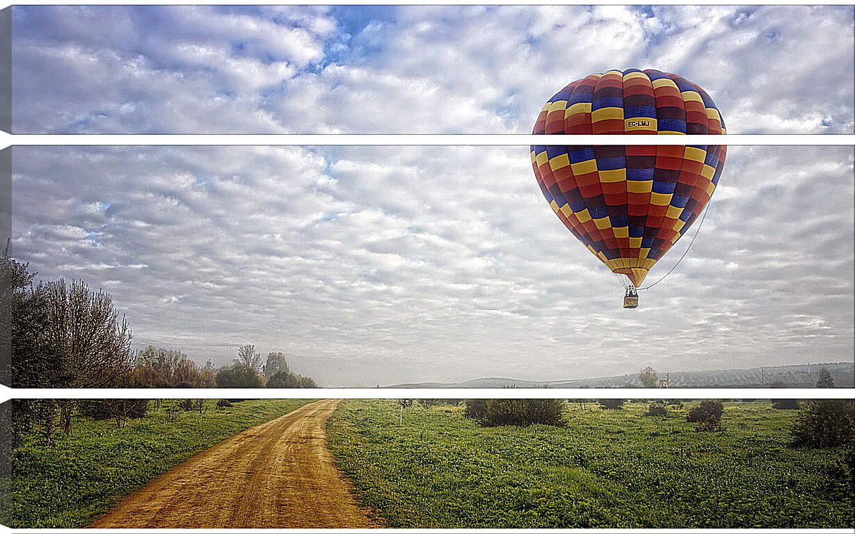Модульная картина - Воздушный шар над полем