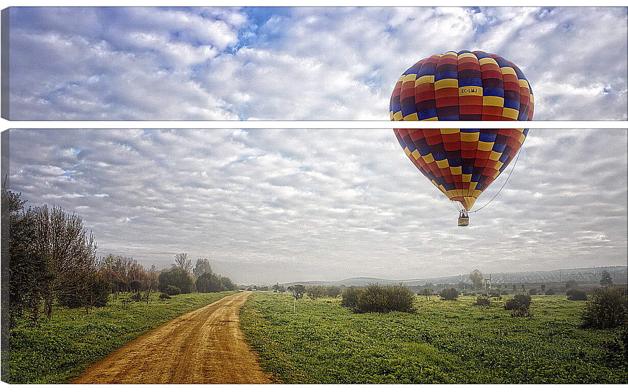 Модульная картина - Воздушный шар над полем