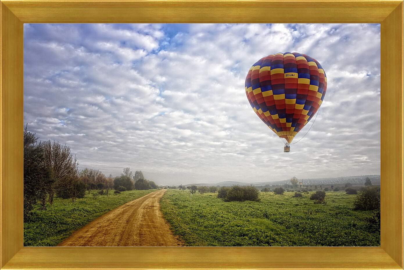 Картина в раме - Воздушный шар над полем