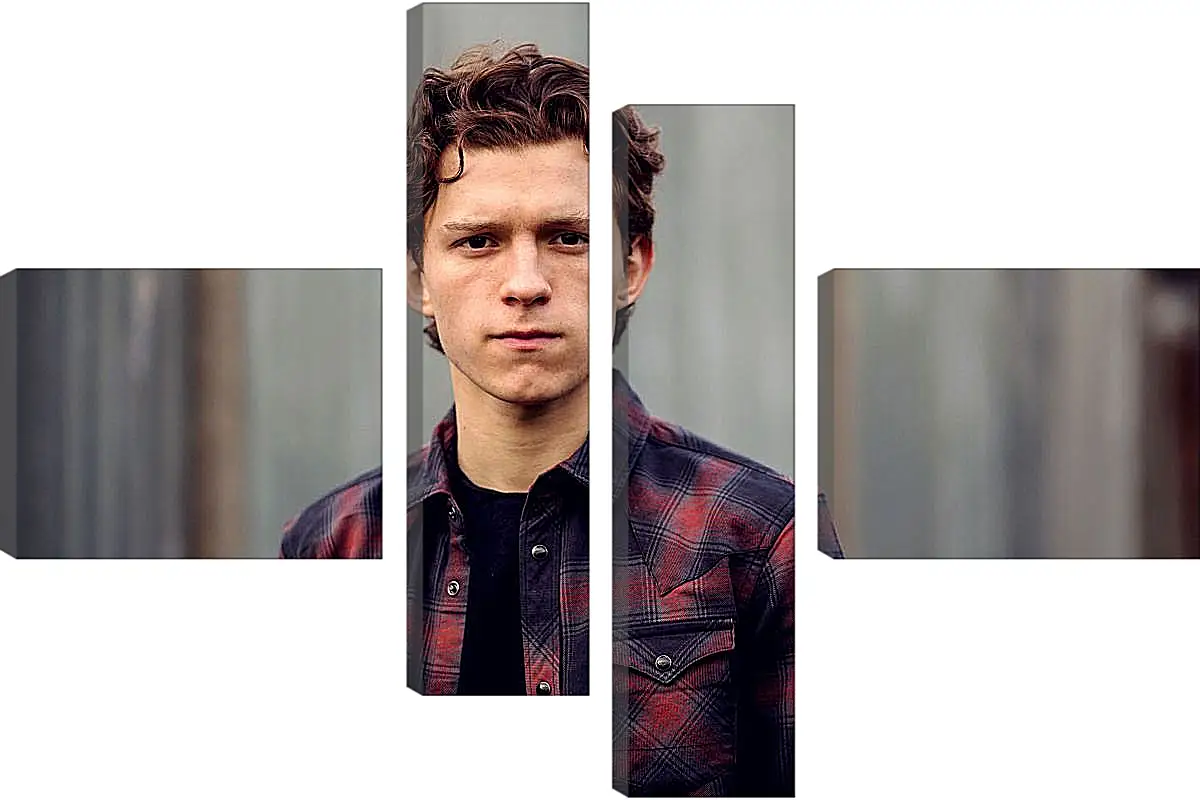 Модульная картина - Том Холланд. Tom Holland