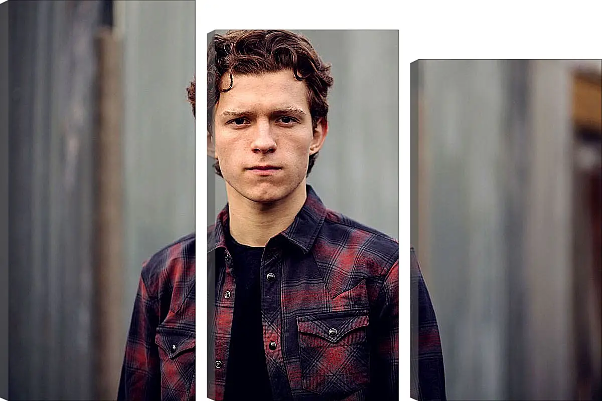 Модульная картина - Том Холланд. Tom Holland