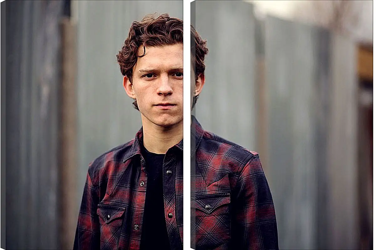 Модульная картина - Том Холланд. Tom Holland