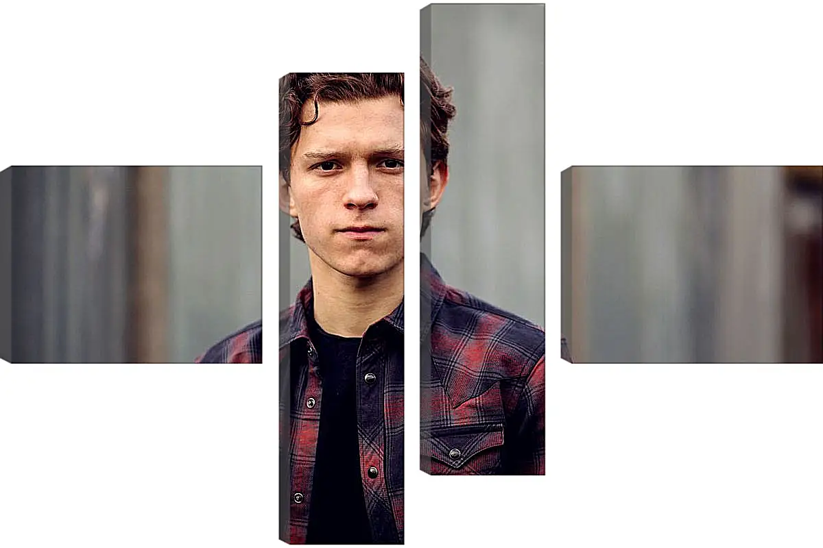 Модульная картина - Том Холланд. Tom Holland